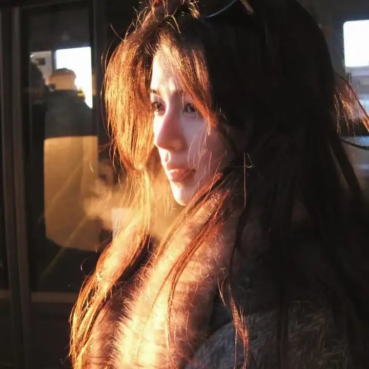 燕子盗