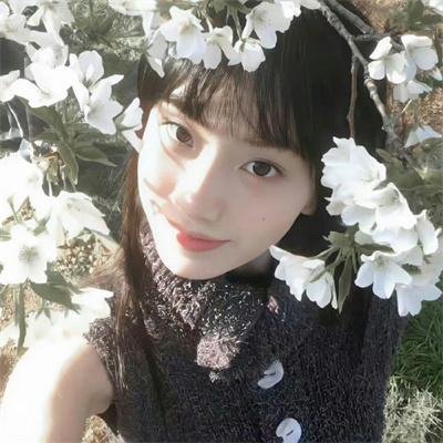 红雀特工